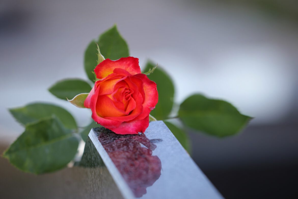 red-yellow-rose-g80ab5901d_1920